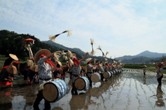 田樂太鼓