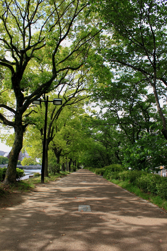 新緑の散歩道