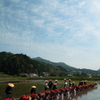 田植日和