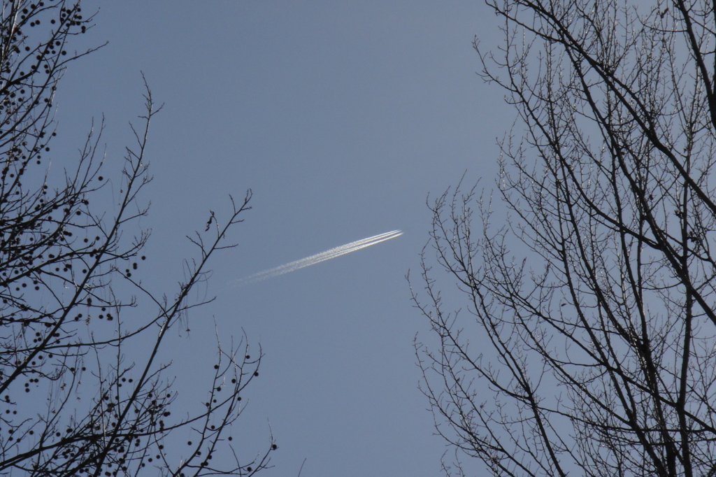 冬の飛行機雲