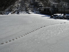 厳冬の湖面