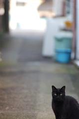 なにか？
