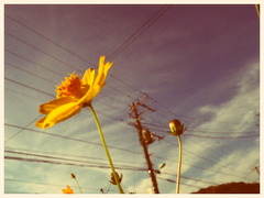 映画の中のワンシーン