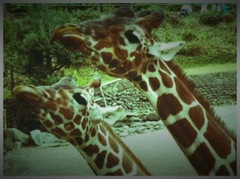 むしゃむしゃオイシイナァ