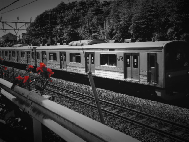 横浜線と赤い花