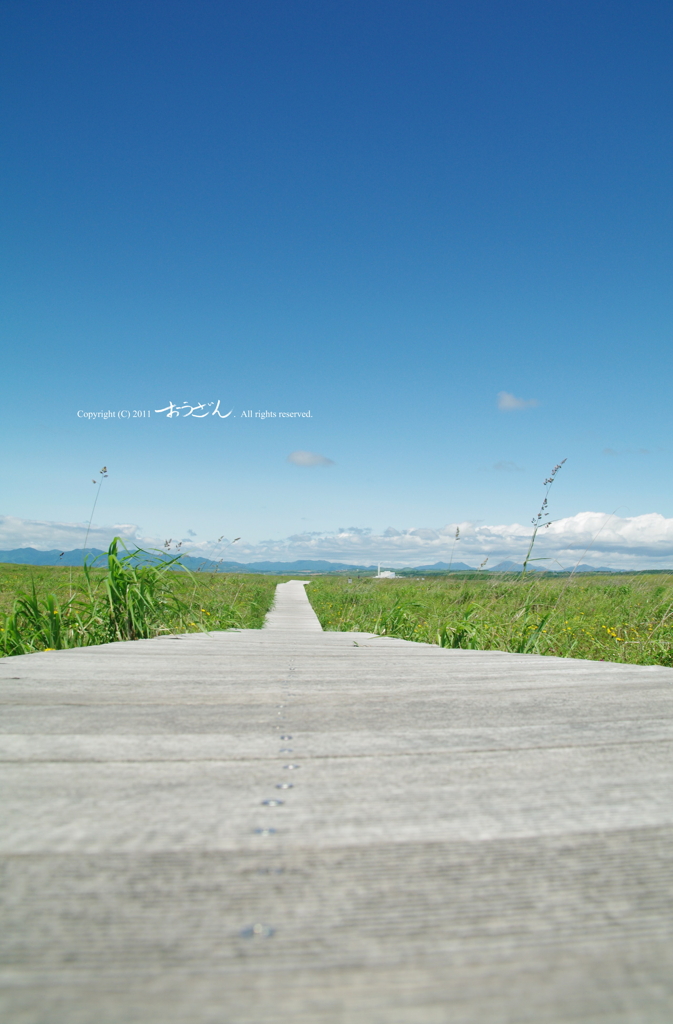 爽快な空、爽快な道。