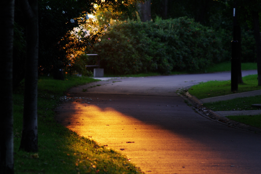 夕歩道