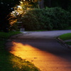 夕歩道