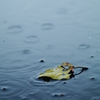 雨脚