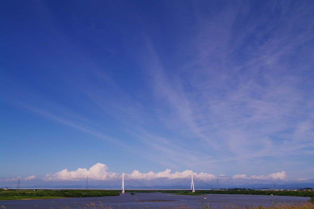 青い空、白い雲、白い橋脚