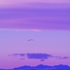 その空は、パステルのように・・・