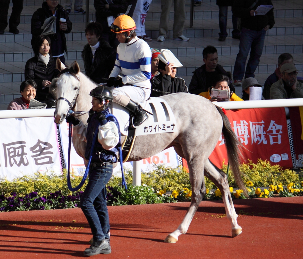 阪神競馬場 12/19