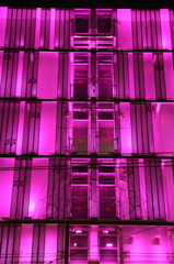 Pink Buil