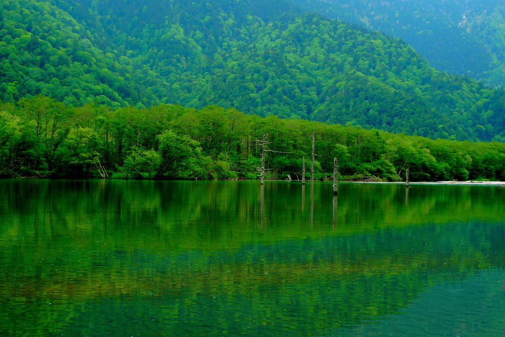 大正池