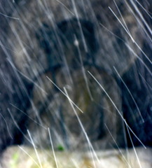 石仏と雪