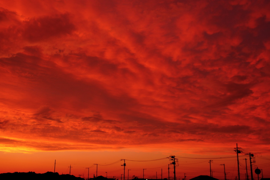 赤い空