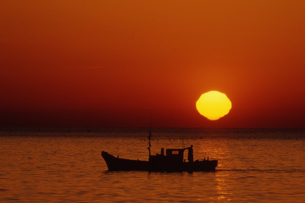 20080320037