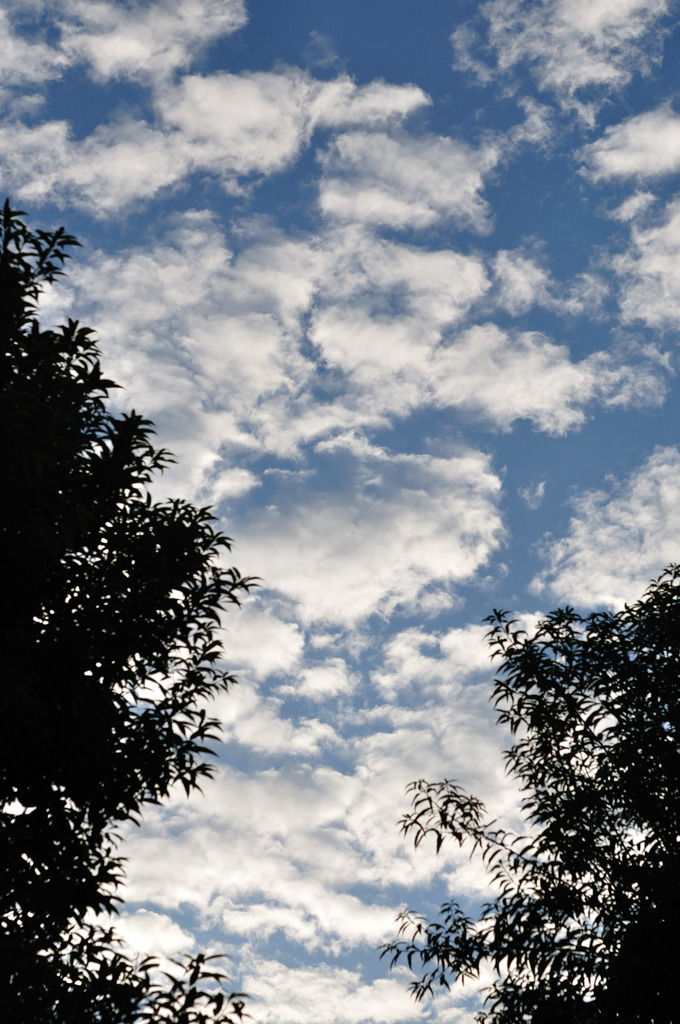 空