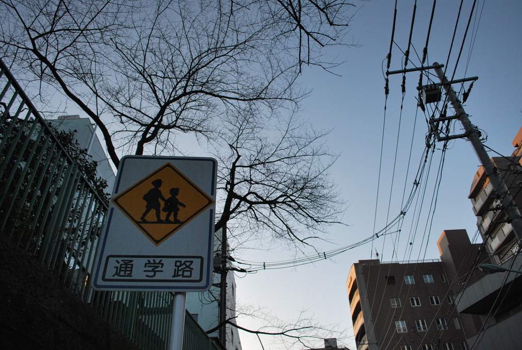 通学路にて