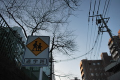 通学路にて