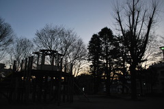 閉店間際の公園