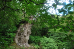 7200年を越えて