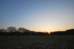 代々木の夕暮れ