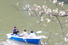 春の楽しみ