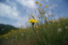 DSC01156