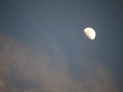 Half moon