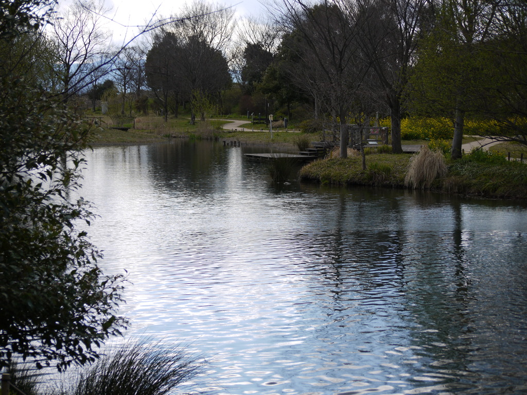 きそがわ水園２