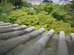 丸岡城の石瓦