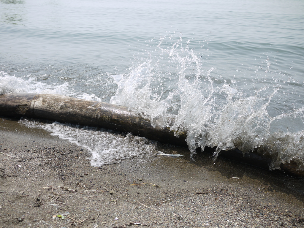 琵琶湖の波