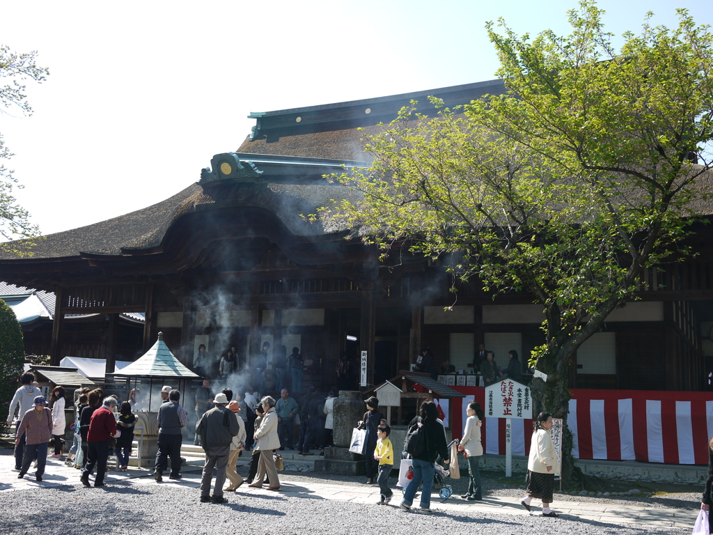 曼陀羅寺のふじまつり