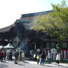 曼陀羅寺のふじまつり