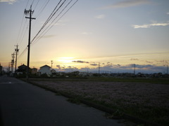蓮華畑と夕日