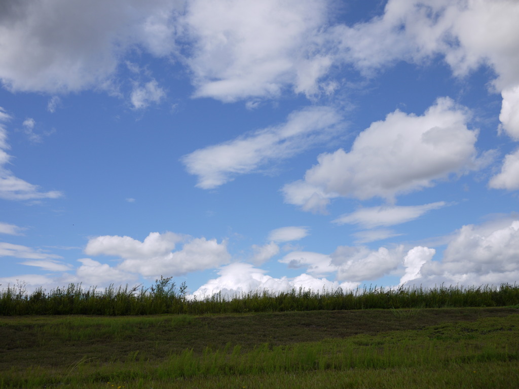あおい空、流れる雲