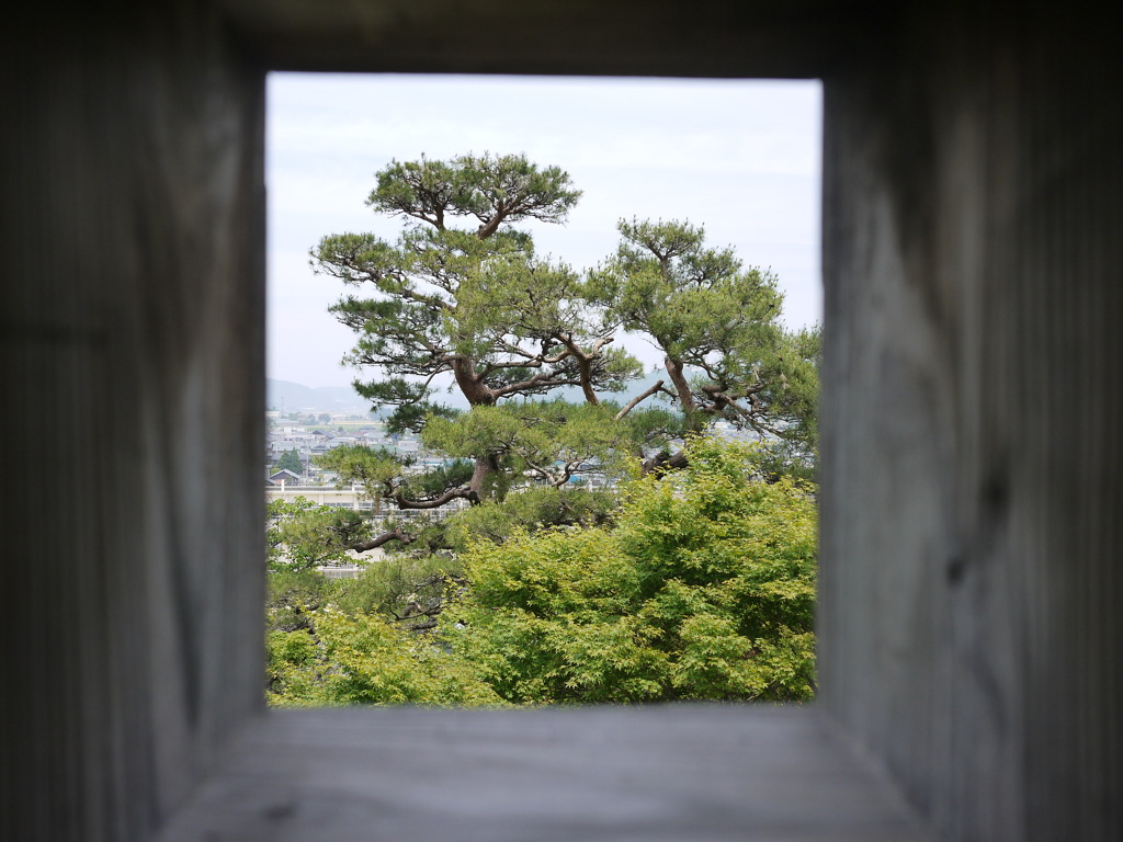 frame~狭間からの風景～