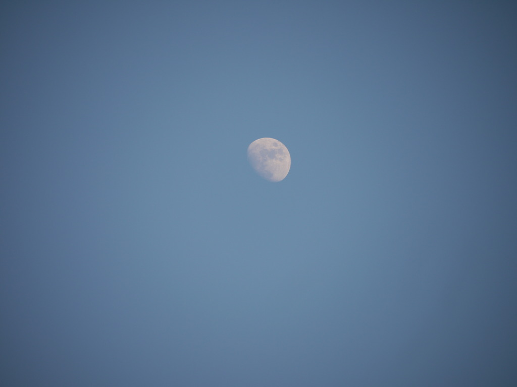 LUNA