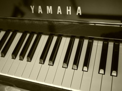 Instrument 1