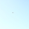 fly