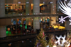 イルミとカフェ