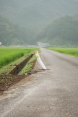 雨