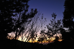 夜明け