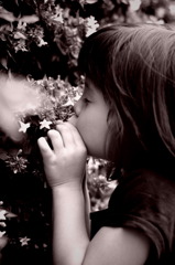 花のキス