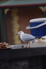 おいしそうだな〜