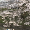 _IGP7677