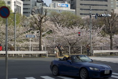 _IGP7599