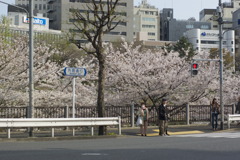 _IGP7601
