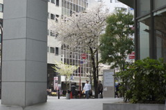 _IGP7641